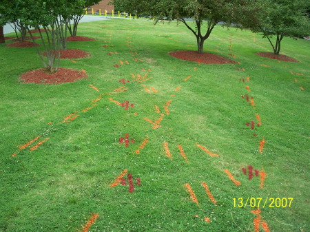 Locate marks at university